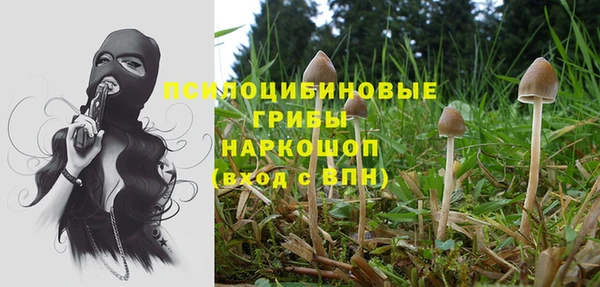 ешки Магас