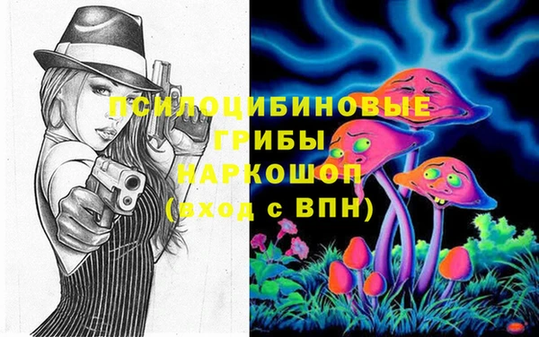a pvp Медвежьегорск