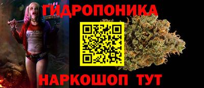дмт Дубна