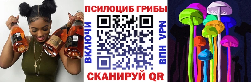 Псилоцибиновые грибы прущие грибы  Прокопьевск 