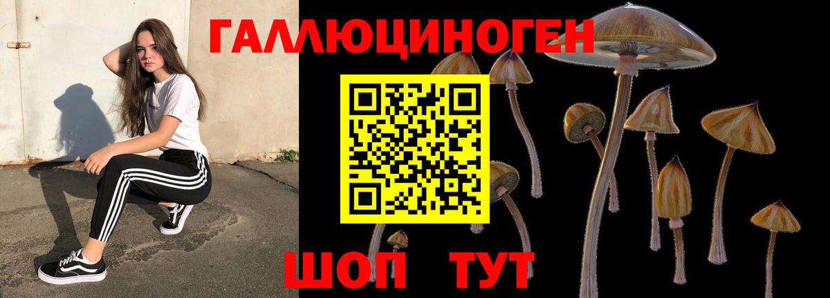 Псилоцибиновые грибы мицелий  Вход с VPN  Прокопьевск 